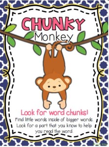 Chunky Monkey