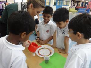 Preschool Maths and Science Day 2018